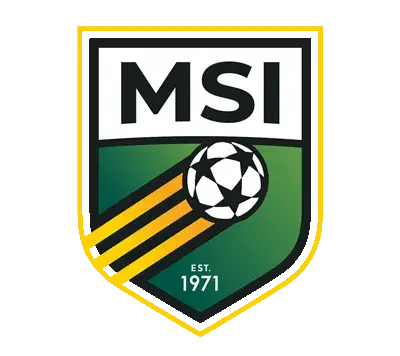 Logo MSI (W)